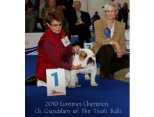 GRANDSLAM OF THE TIVOLI BULLS -  