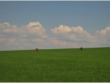 IMG_0468.JPG