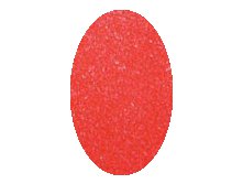 290-37/1 -  5  : 299