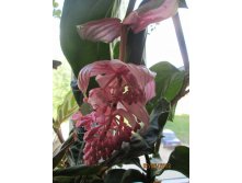 IMG_0892.JPG