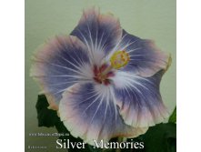 099 - Silver Memories.jpg