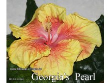 100 - Georgia's Pearl.jpg