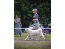 IMG_6234.jpg