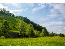 IMG_0945.jpg