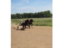 IMG_0853.JPG