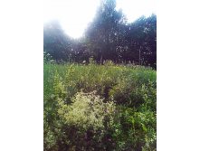 20.06.2013 1:28:40