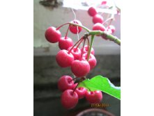 IMG_1039.JPG