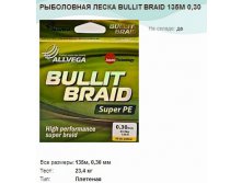   BULLIT BRAID 135 0,30.jpg