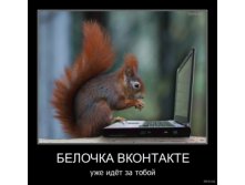 258176-2010_11_30-05_56_48-bomz_org-demotivator_belochka_vkontakte_uje_idiet_za_toboyi.jpg