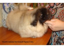 DSC02010.JPG