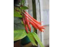 IMG_0485.JPG
