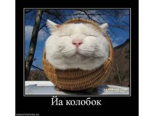 2f92b0c114e6.jpg