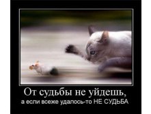 d6d01b38e05e.jpg
