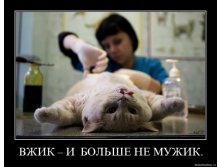 demotivatory-cat-f-it-ru1.jpg