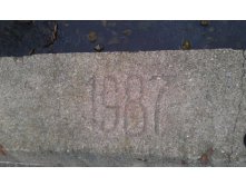 IMAG1236.jpg