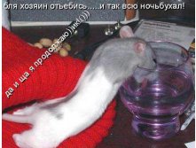 05.11.2009 20:31:58