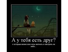 06.11.2009 15:47:38