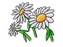 daisy-flower-clip-art-l.jpg