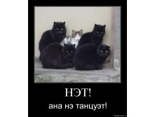 19.11.2009 10:01:51