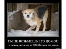 19.11.2009 10:05:46