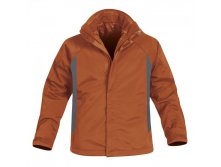 B-1_BURNTORANGE 6490.jpg