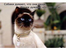 30.11.2009 8:42:36