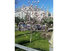 20130308_112415.jpg