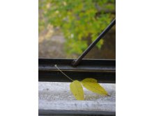 11.12.2009 17:39:45
