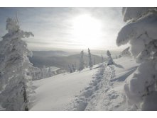 14.12.2009 11:34:36