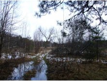 DSCF1293.JPG