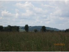 IMG_1151.JPG