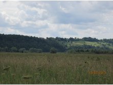 IMG_1154.JPG