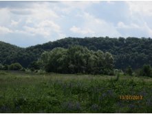 IMG_1171.JPG