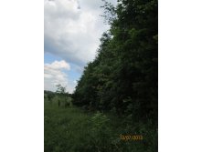 IMG_1225.JPG