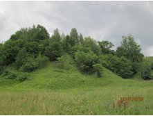 IMG_1246.JPG