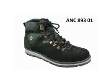  ANC 893 01