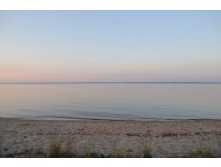 DSC_0209_ .jpg