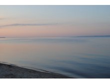 DSC_0223_ .jpg