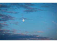 IMG_8847.jpg