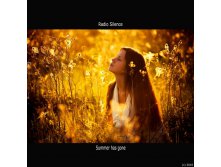 Summer has gone album cover .jpg