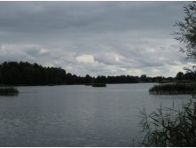 IMG_5256.JPG
