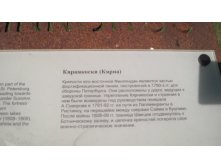 IMG_6531.JPG