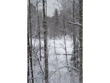 DSC_0259.JPG
