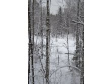 DSC_0260.JPG