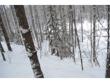 DSC_0263.JPG