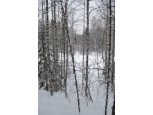 DSC_0265.JPG