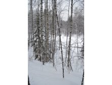 DSC_0266.JPG