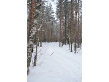 DSC_0268.JPG