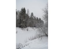 DSC_0297_01.JPG