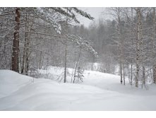DSC_0310.JPG